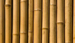 גדר במבוק מושחלת