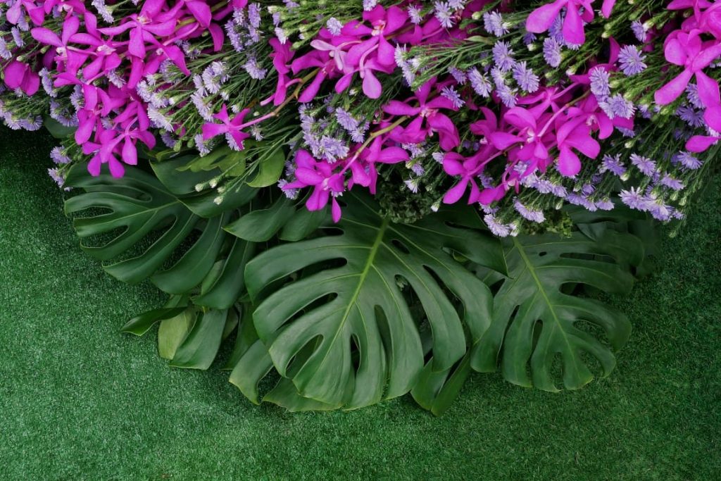 גינה דשא סינטטי צמחים פרחים