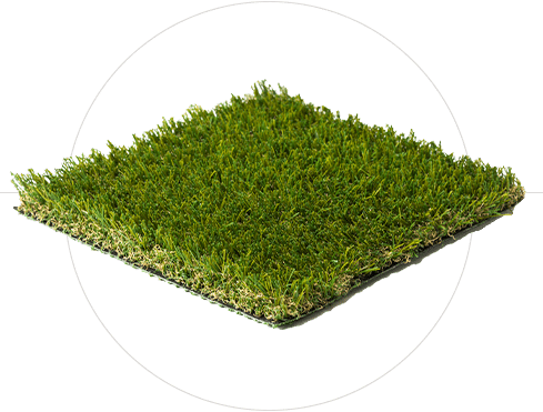 דשא סינטטי מקסי