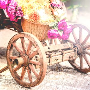 גלגלים מעץ עתיקים