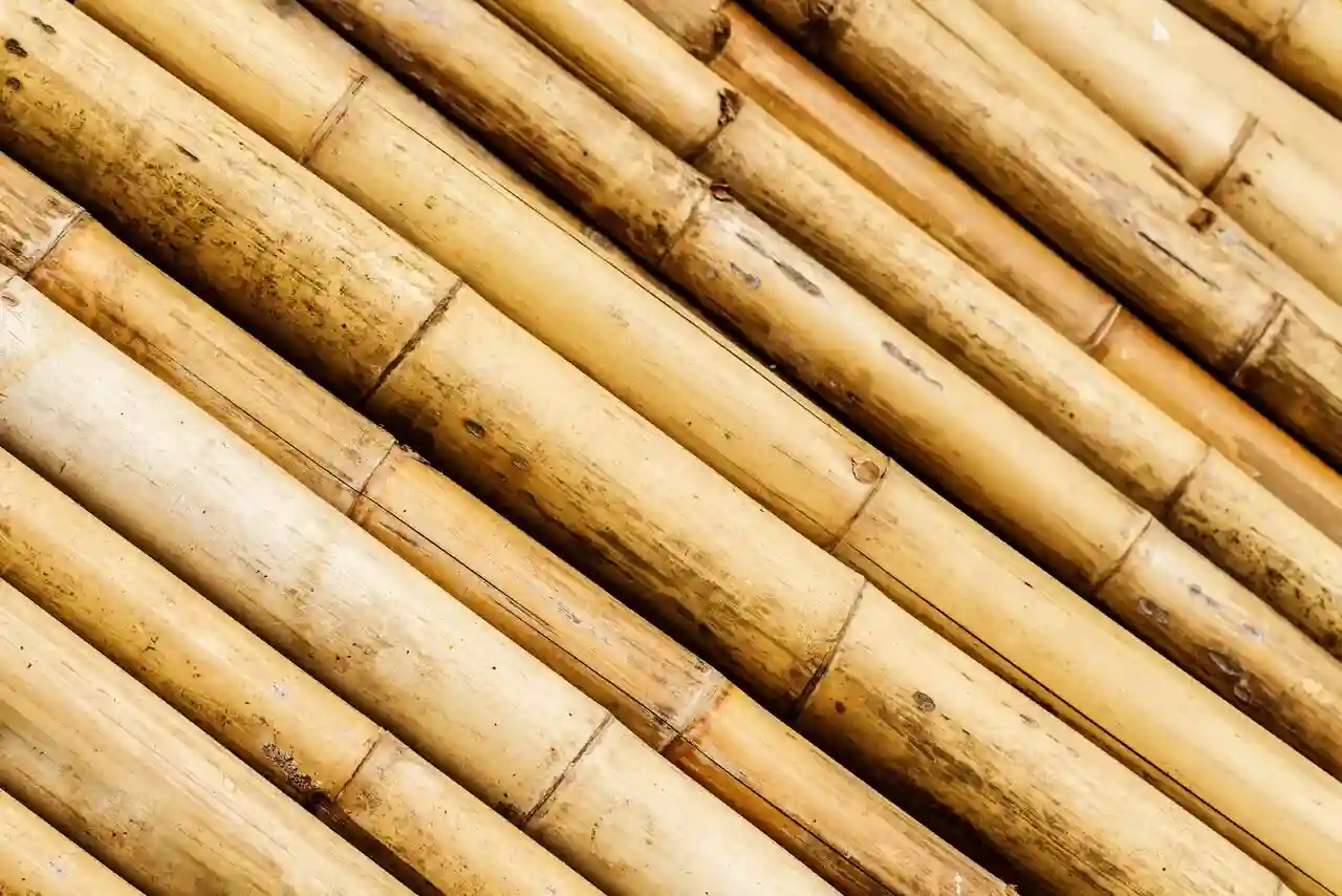 גדרות במבוק לגינה