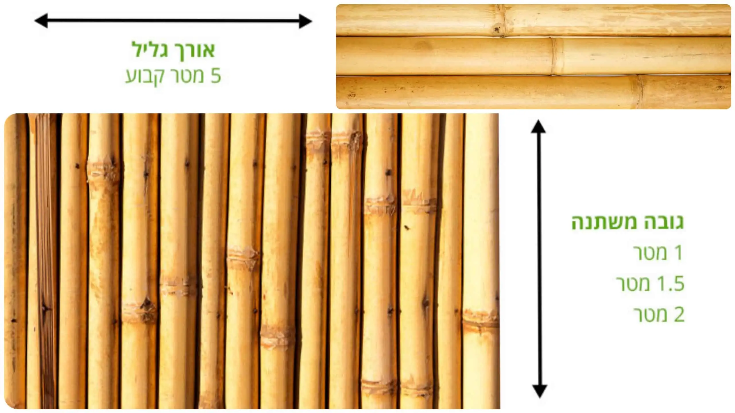 גדרות במבוק מידות