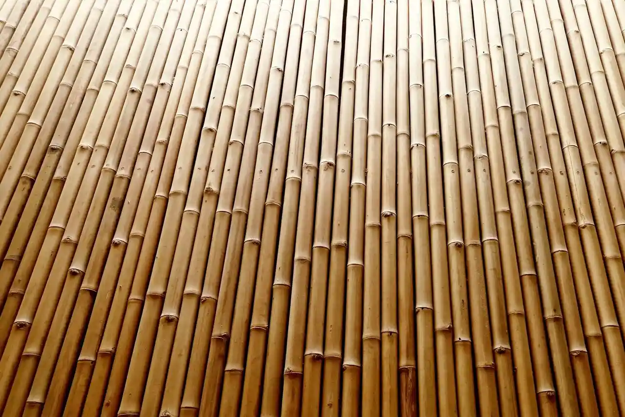 גדרות במבוק עבים