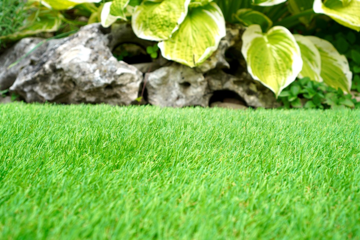 דשא סינטטי לגינות מעוצבות